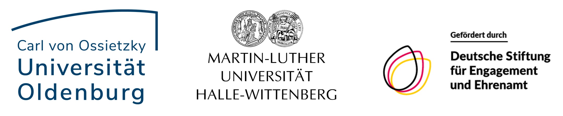 Online-Fragebogen des Forschungsprojektes „Wandel im individuellen Engagement sowie neue und innovative Organisations(re)formen“